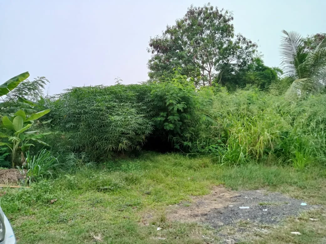 Tanah Lot Banglo Bersebelahan Sekolah.