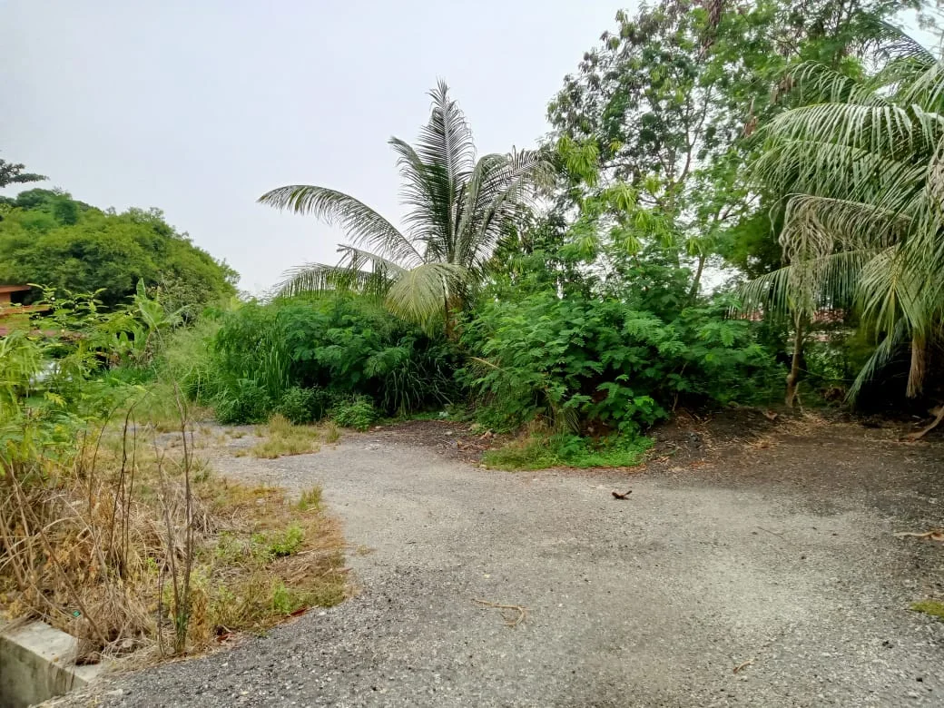 Tanah Lot Banglo Bersebelahan Sekolah.