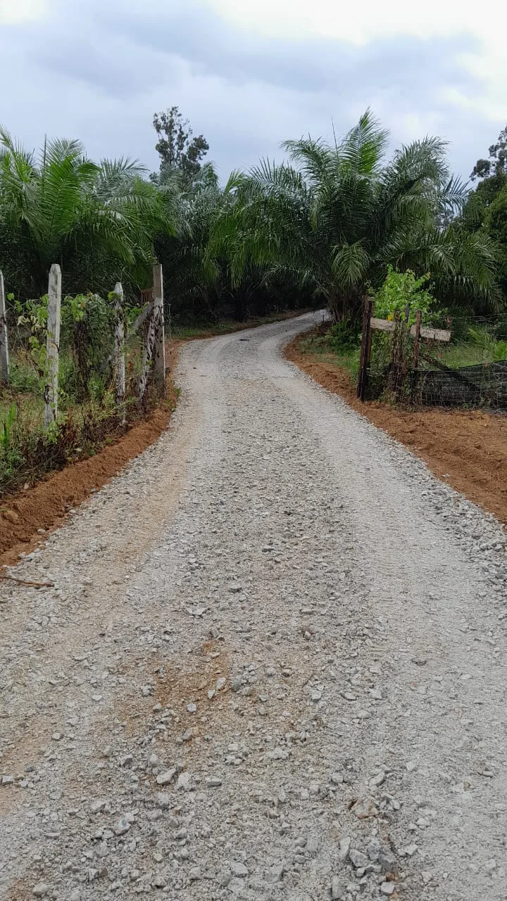 Kebun Durian Mukim Ganchong, Pekan